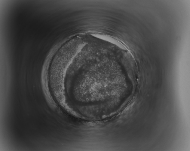X0000087530241200705181035