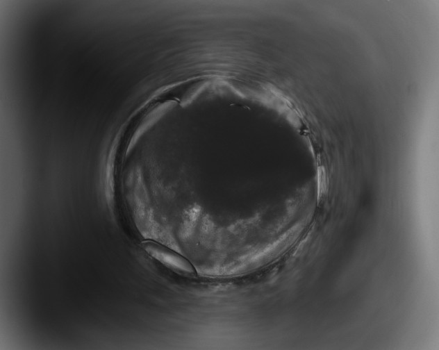 X0000087530243200705181035