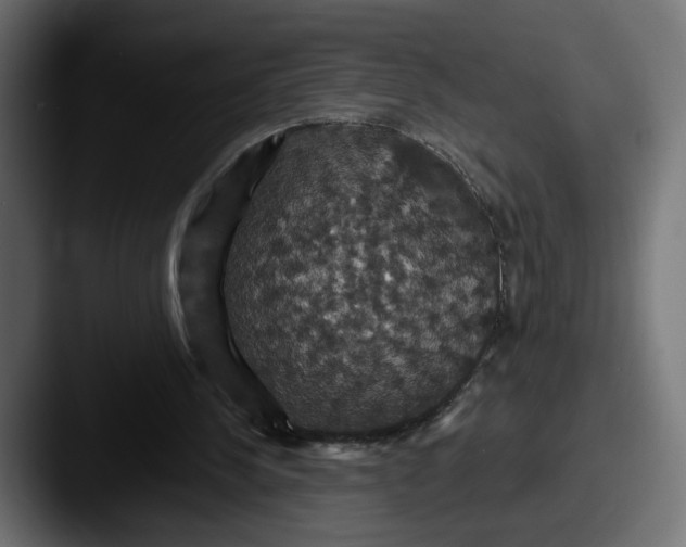 X0000087530244200705181035
