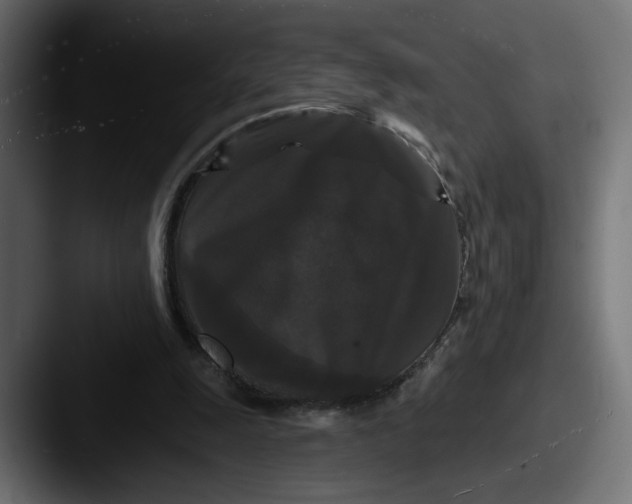 X0000087530247200705181035