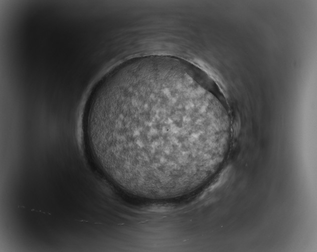X0000087530248200705181035