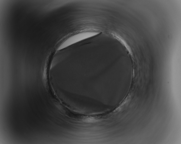X0000087530249200705181035