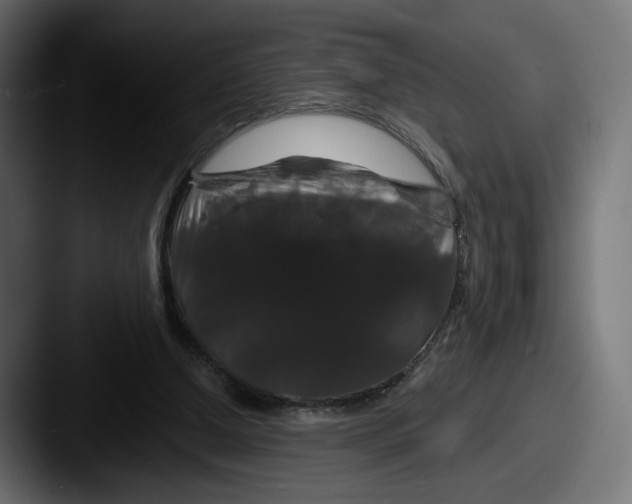 X0000087530250200705181035