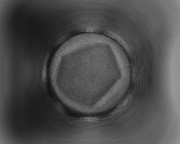 X0000087530251200705181035