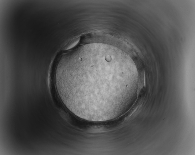 X0000087530252200705181036