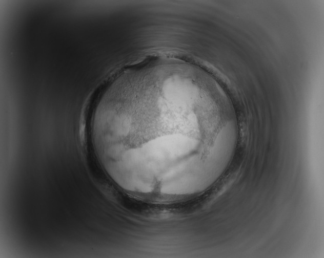 X0000087530254200705181036