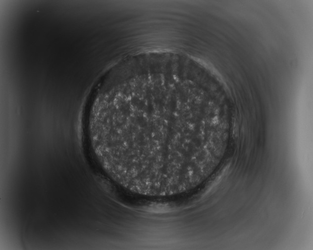 X0000087530256200705181036