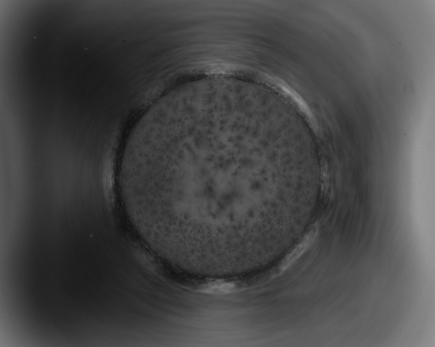 X0000087530257200705181036