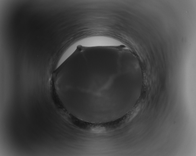 X0000087530258200705181036
