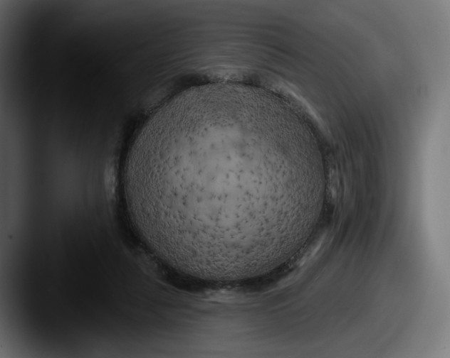 X0000087530259200705181036