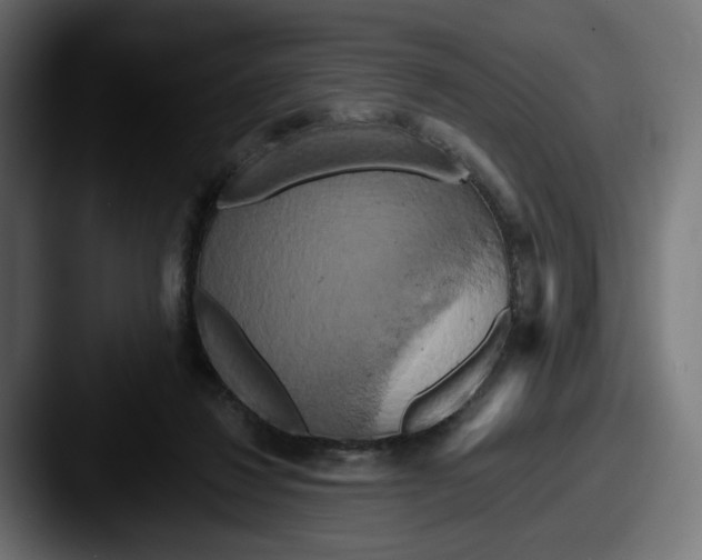 X0000087530260200705181036