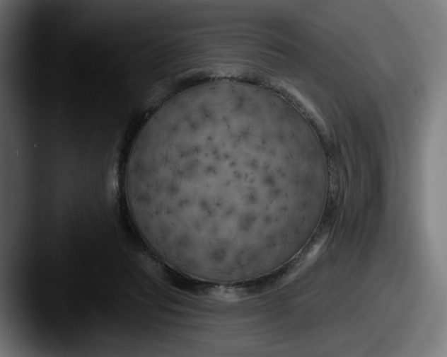 X0000087530261200705181036