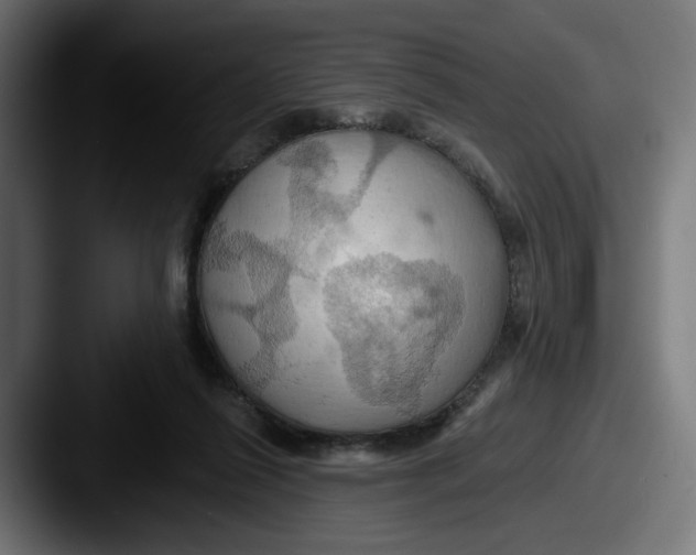 X0000087530262200705181036