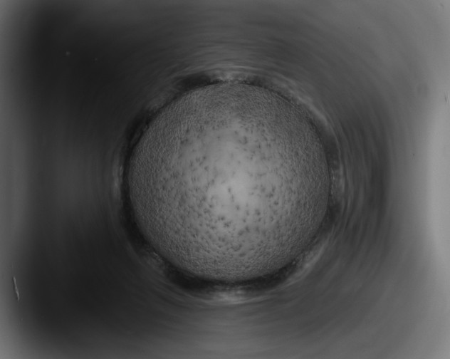 X0000087530263200705181036