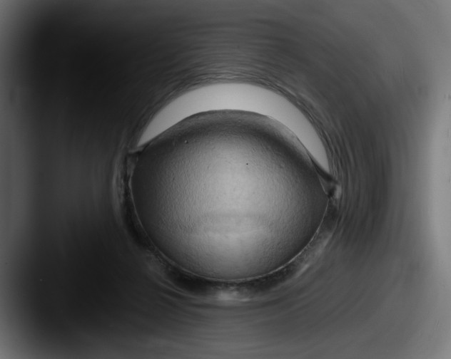 X0000087530264200705181036
