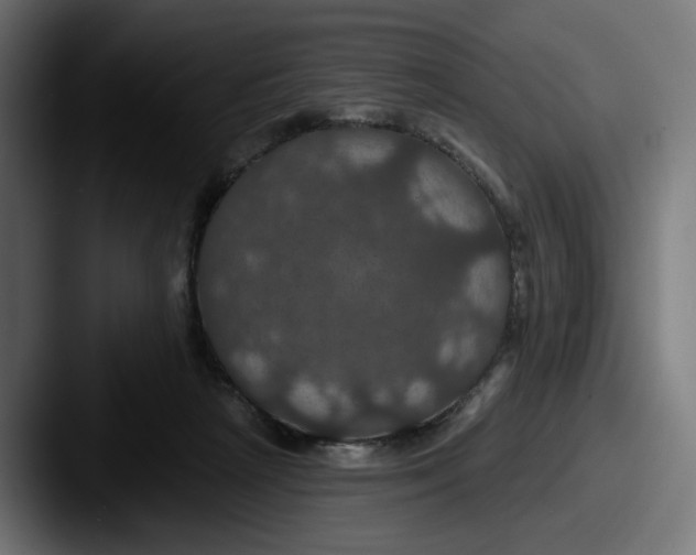 X0000087530265200705181036