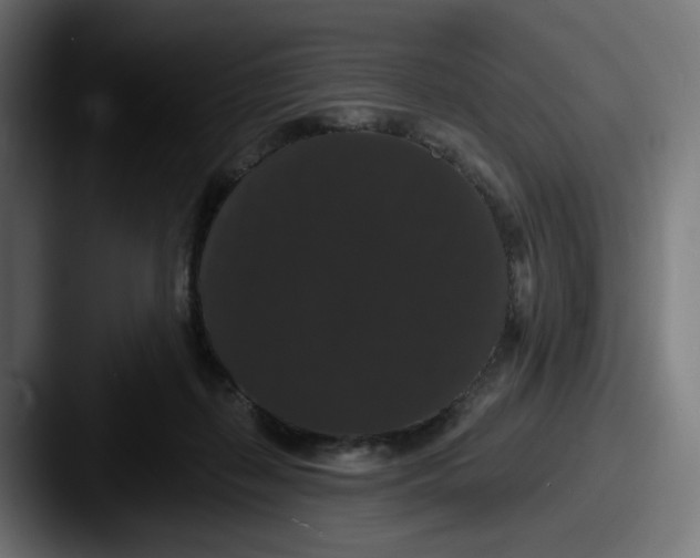 X0000087530267200705181036