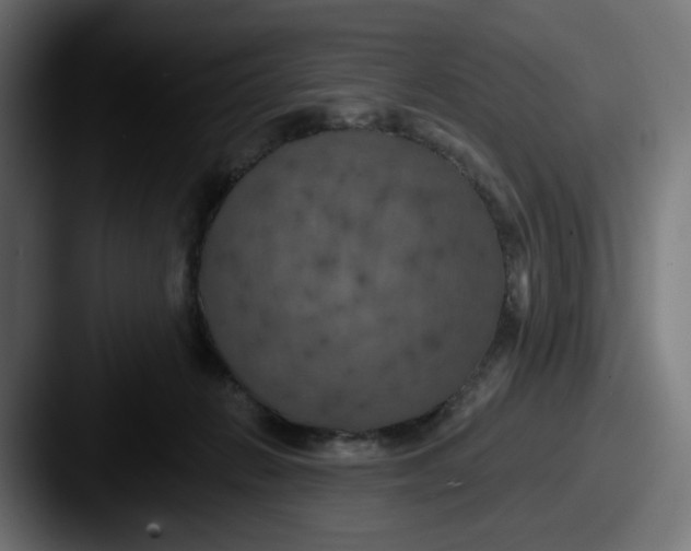 X0000087530270200705181036