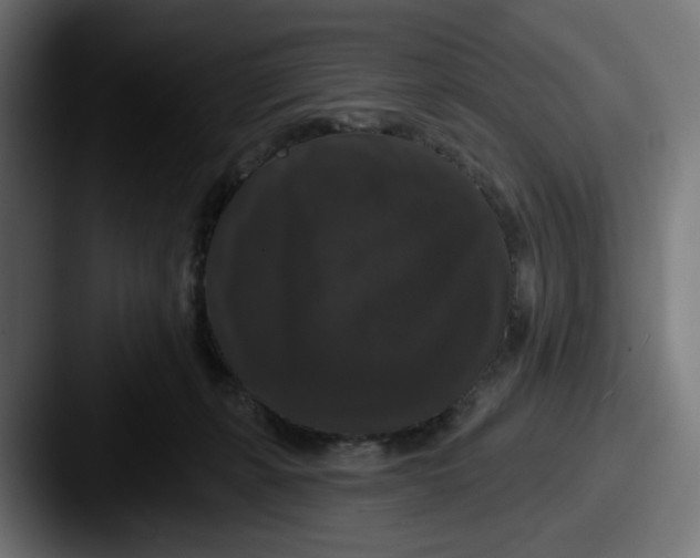 X0000087530271200705181036