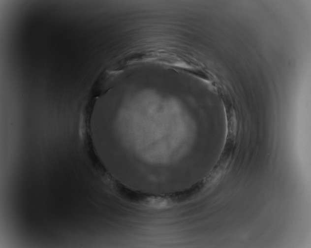 X0000087530272200705181036
