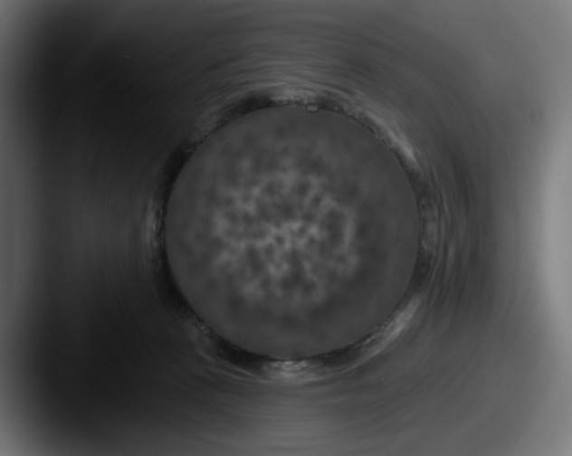 X0000087530273200705181036