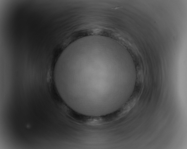 X0000087530274200705181036