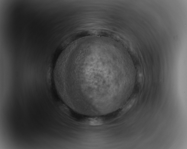 X0000087530275200705181036