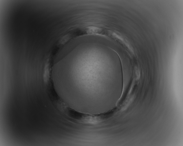 X0000087530276200705181036