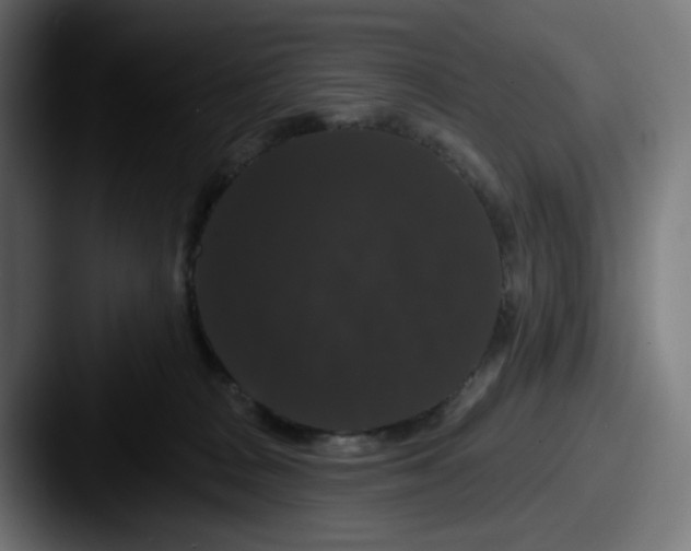 X0000087530277200705181036