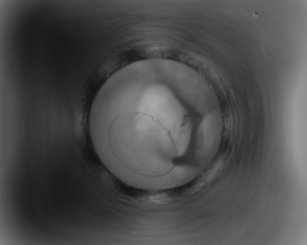X0000087530278200705181036