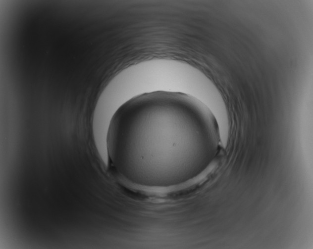 X0000087530280200705181036