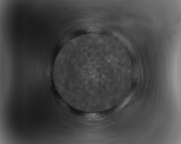X0000087530281200705181036