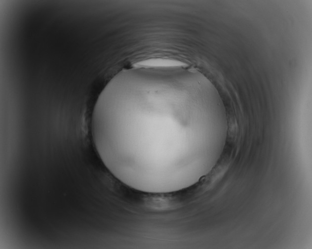 X0000087530282200705181036
