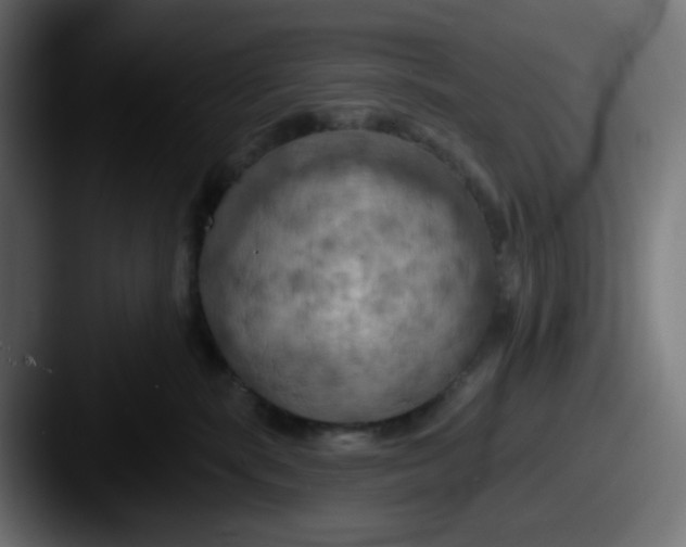 X0000087530283200705181036