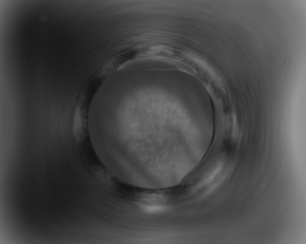 X0000087530284200705181036