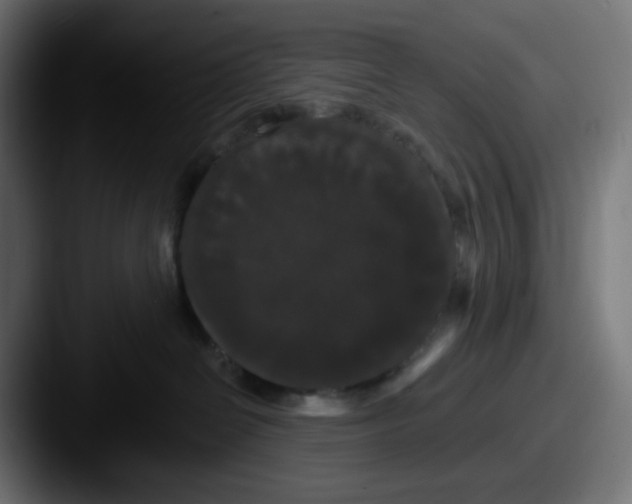 X0000087530286200705181036