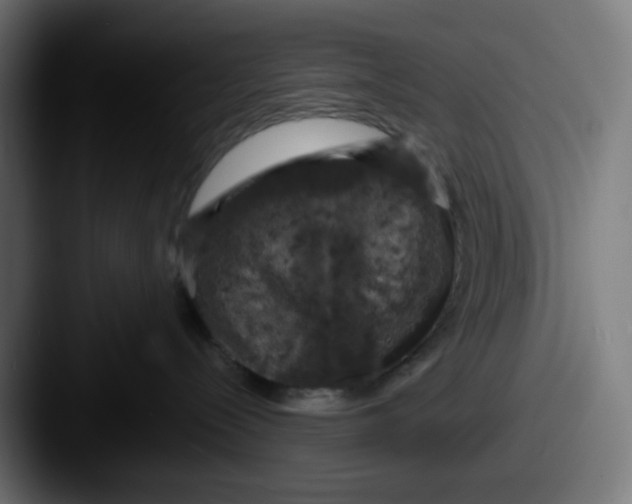 X0000087530288200705181036