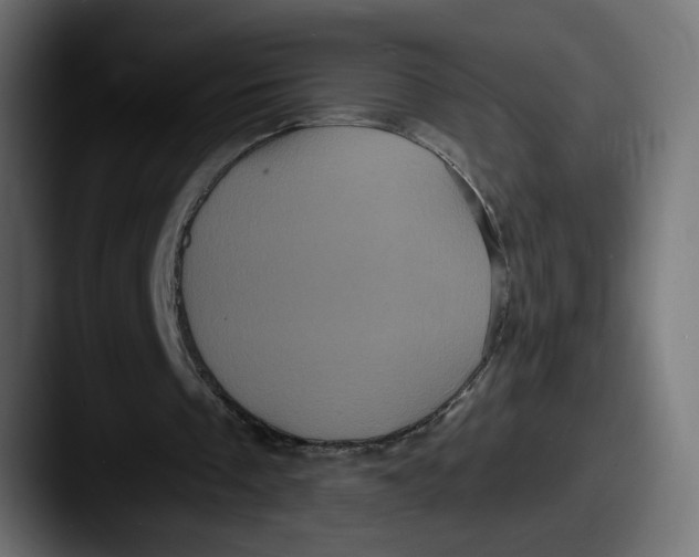 X0000087530289200705181035