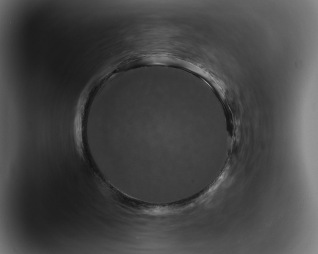 X0000087530293200705181035