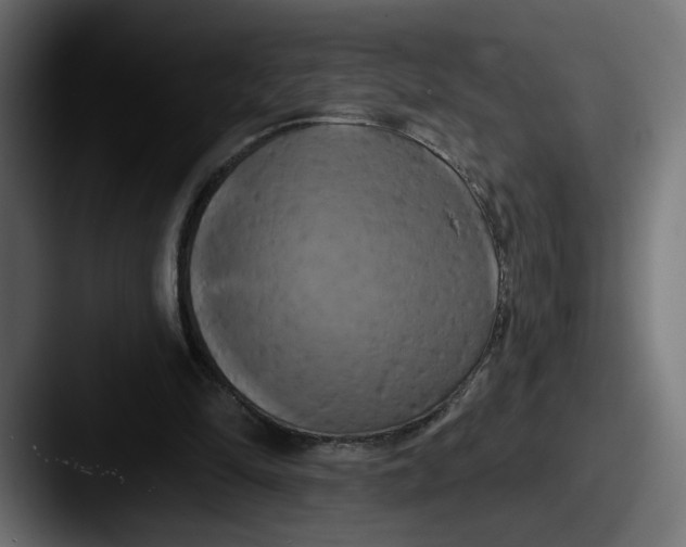X0000087530294200705181035