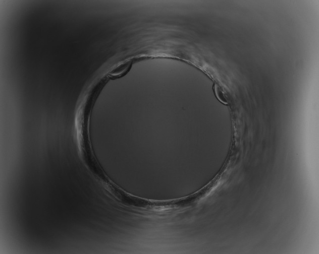 X0000087530295200705181035