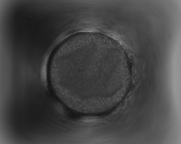 X0000087530296200705181035