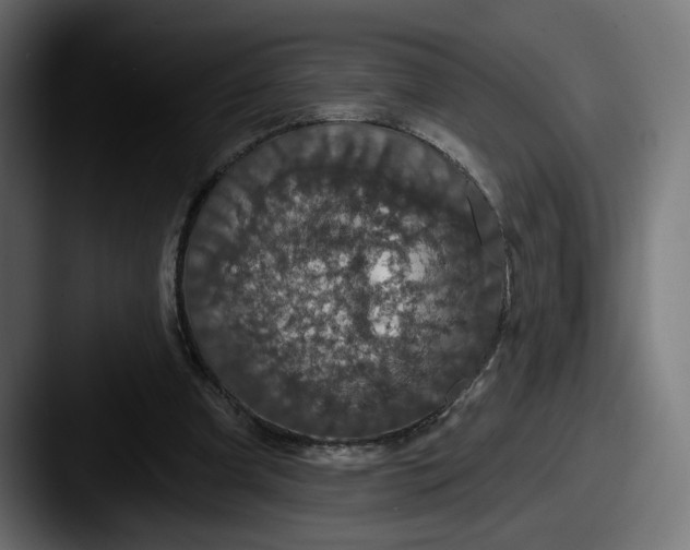 X0000087530297200705181035