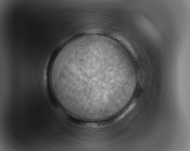 X0000087530298200705181035