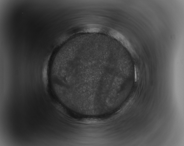 X0000087530300200705181035
