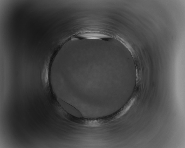 X0000087530301200705181035