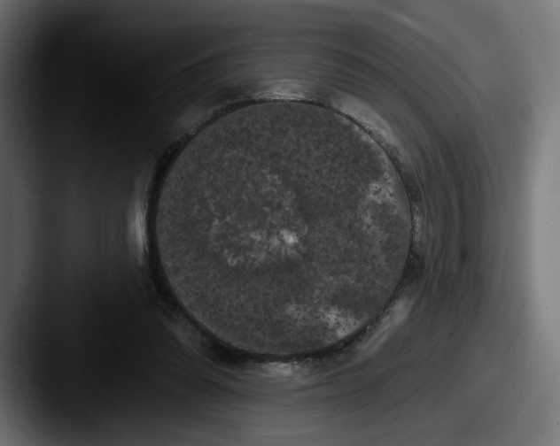 X0000087530302200705181035