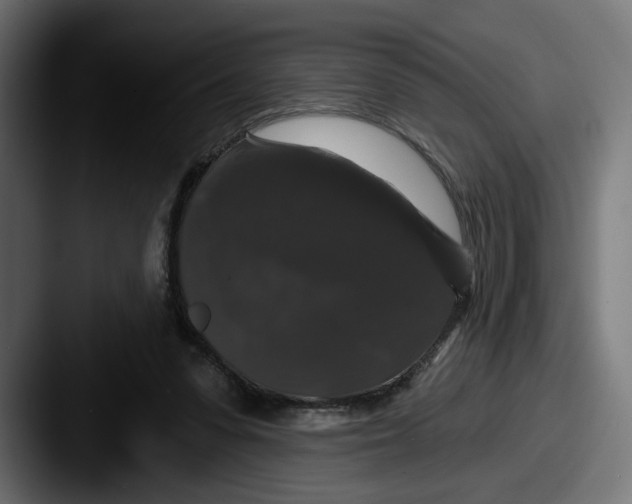 X0000087530303200705181035