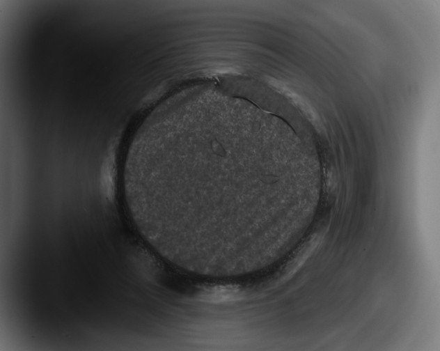 X0000087530304200705181035