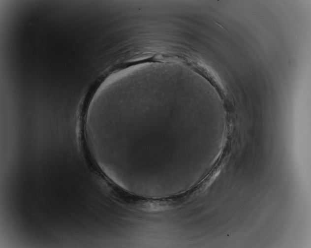 X0000087530305200705181035